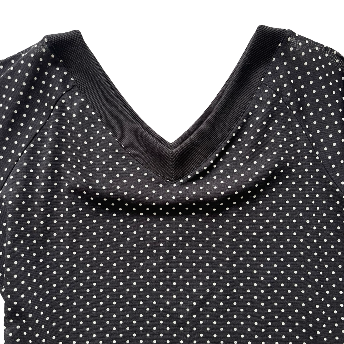 Sheer Polka Dot Long Sleeve